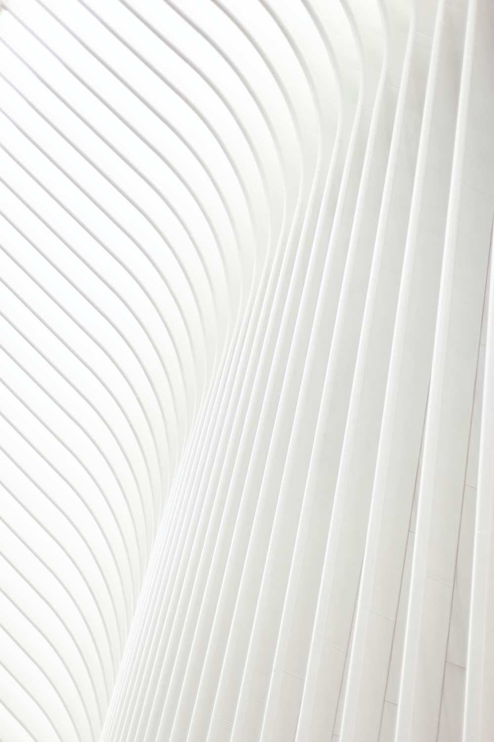 img of Simple and Efficient Full Text Search using Django and Postgres