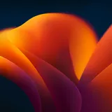 img of My Programming Timeline